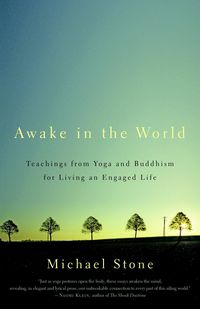 Produktbild: Awake in the World