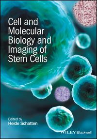 Produktbild: Cell and Molecular Biology and Imaging of Stem Cells
