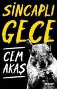 Produktbild: Sincapli Gece