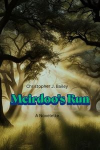 Produktbild: Meirdoo's Run