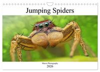 Produktbild: Jumping Spiders (Wall Calendar 2026 DIN A4 landscape), CALVENDO 12 Month Wall Calendar