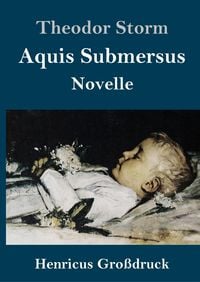 Bild vom Artikel Aquis Submersus (Großdruck) vom Autor Theodor Storm