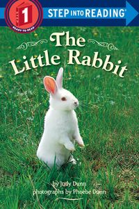 Produktbild: LITTLE RABBIT