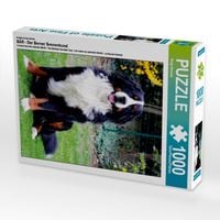 Produktbild: CALVENDO Puzzle Ein Motiv aus dem Kalender B&Auml;R - Der Berner Sennenhund | 1000 Teile Lege-Gr&ouml;&szlig;e 64x48cm Foto-Puzzle f&uuml;r gl&uuml;ckliche Stunden