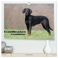 Produktbild: Der Brandlbracken-Terminplaner (hochwertiger Premium Wandkalender 2026 DIN A2 quer), Kunstdruck in Hochglanz