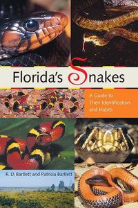 Produktbild: Florida's Snakes