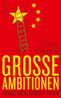 Produktbild: Gro&szlig;e Ambitionen