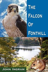 Produktbild: The Falcon of Fonthill
