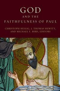 Produktbild: God and the Faithfulness of Paul