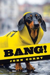 Produktbild: Bang!