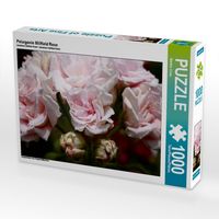 Produktbild: CALVENDO Puzzle Pelargonie Millfield Rose | 1000 Teile Lege-Gr&ouml;&szlig;e 64x48cm Foto-Puzzle f&uuml;r gl&uuml;ckliche Stunden
