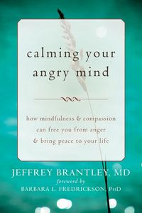 Produktbild: Calming Your Angry Mind