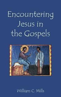 Produktbild: Encountering Jesus in the Gospels