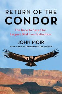 Produktbild: Return of the Condor