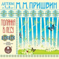 Produktbild: DETYAM ot 5 do 8 let. Polyanka v lesu