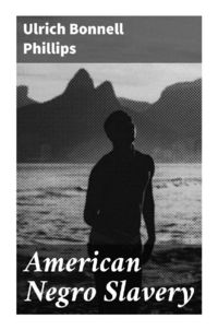Produktbild: American Negro Slavery