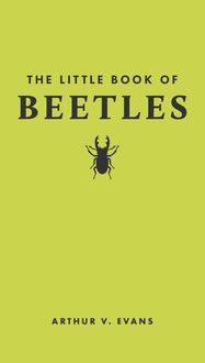 Produktbild: The Little Book of Beetles