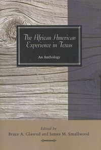 Produktbild: The African American Experience in Texas