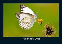 Produktbild: Tierkalender 2025 Fotokalender DIN A5