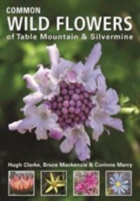 Produktbild: Clarke, H: Common Wild Flowers of Table Mountain & Silvermi