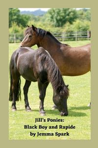 Produktbild: Jill's Ponies
