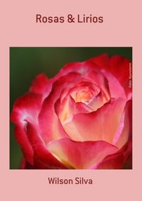Produktbild: Rosas & Lirios