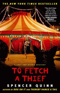 Produktbild: To Fetch a Thief