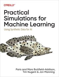 Produktbild: Practical Simulations for Machine Learning