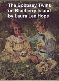 Produktbild: The Bobbsey Twins on Blueberry Island