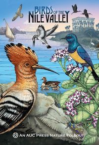 Produktbild: Birds of the Nile Valley