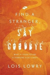 Produktbild: Find a Stranger, Say Goodbye