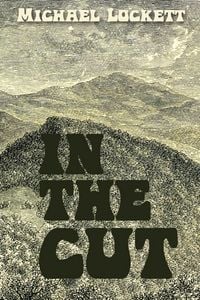 Produktbild: In the Cut