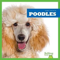 Produktbild: Poodles