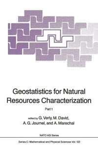Produktbild: Geostatistics for Natural Resources Characterization