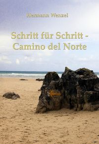 Bild vom Artikel Schritt für Schritt vom Autor Hermann Wenzel