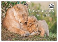 Produktbild: Emotionale Momente: L&ouml;wenbabys - so s&uuml;&szlig;. (Wandkalender 2026 DIN A2 quer), CALVENDO Monatskalender