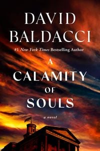 Bild vom Artikel A Calamity of Souls vom Autor David Baldacci