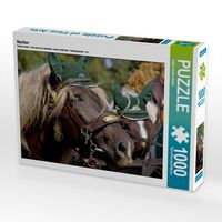 Produktbild: CALVENDO Puzzle Noriker | 1000 Teile Lege-Gr&ouml;&szlig;e 64x48cm Foto-Puzzle f&uuml;r gl&uuml;ckliche Stunden