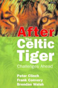 Produktbild: After the Celtic Tiger