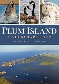 Produktbild: Plum Island: A Vulnerable Gem