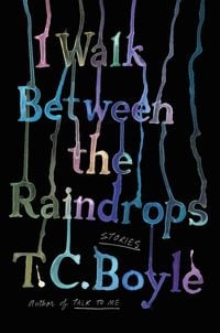 Produktbild: I Walk Between the Raindrops