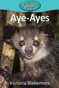 Produktbild: Aye-Ayes