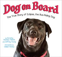 Produktbild: Dog on Board