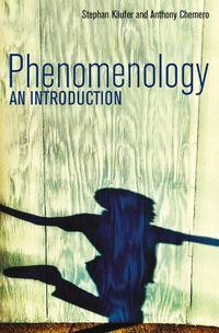 Produktbild: Phenomenology