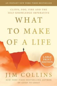 Produktbild: What to Make of a Life