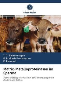 Produktbild: Matrix-Metalloproteinasen im Sperma