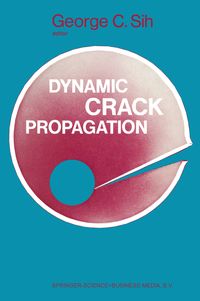 Produktbild: Proceedings of an international conference on Dynamic Crack Propagation