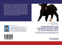 Produktbild: Morphometry and Histology Of The Testis Of Black Bengal Buck