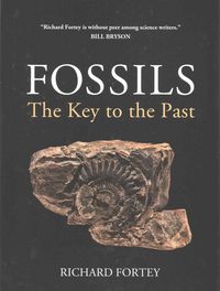 Produktbild: Fossils
