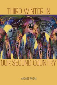 Produktbild: Third Winter in Our Second Country